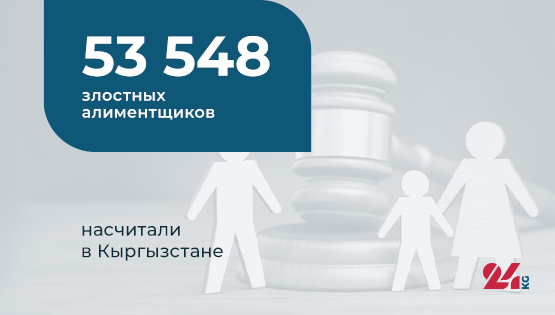 Цифра дня.&nbsp;53&nbsp;тысячи 548 злостных алиментщиков насчитали в&nbsp;Кыргызстане
